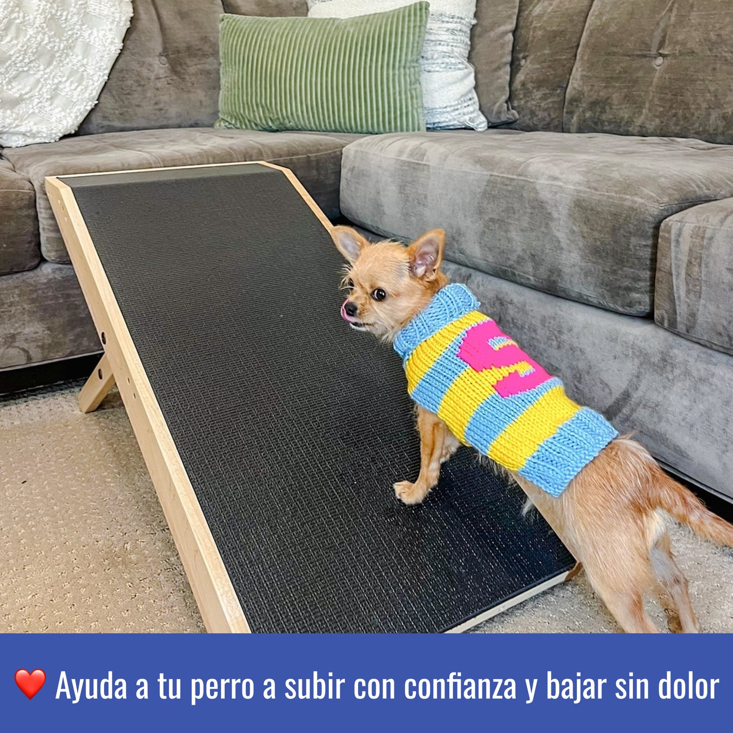 Rampa para Perros