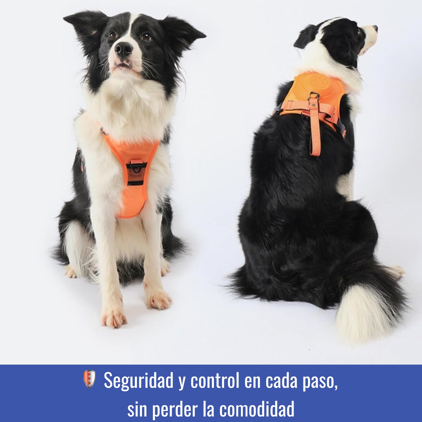 Arnés con correa extensible