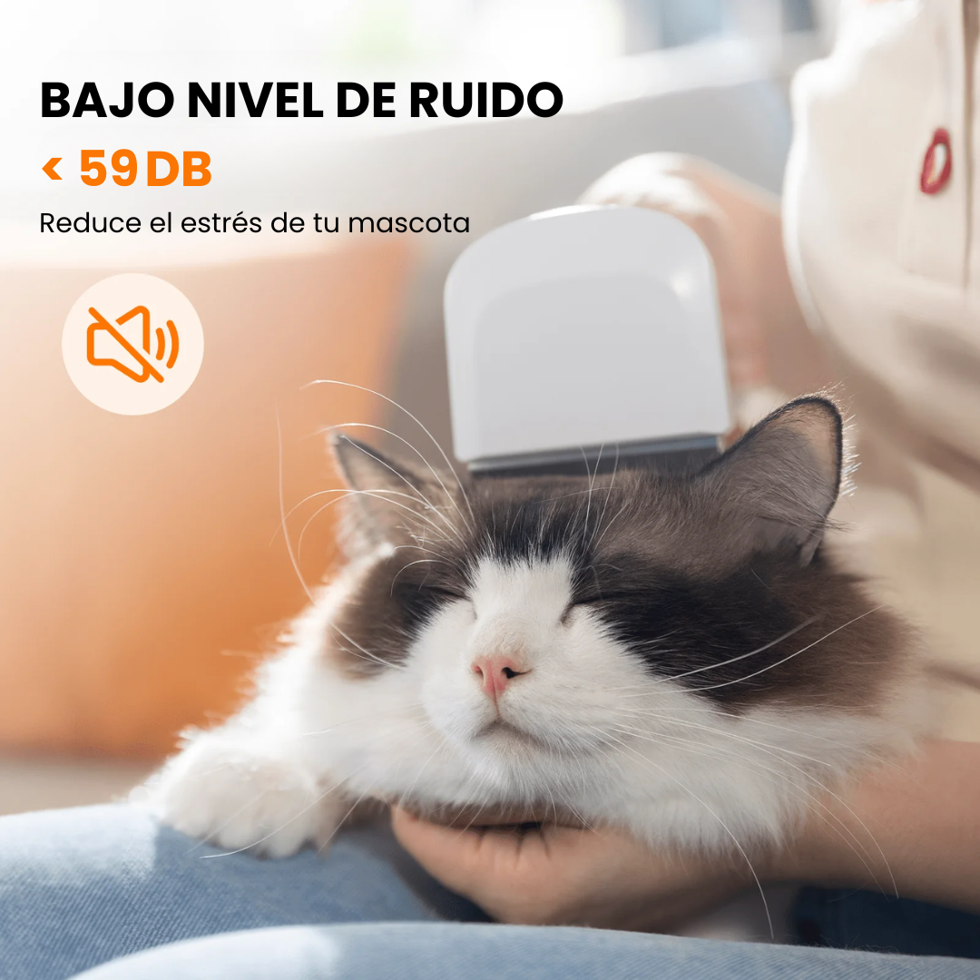 Cepillo y secador para perros y gatos