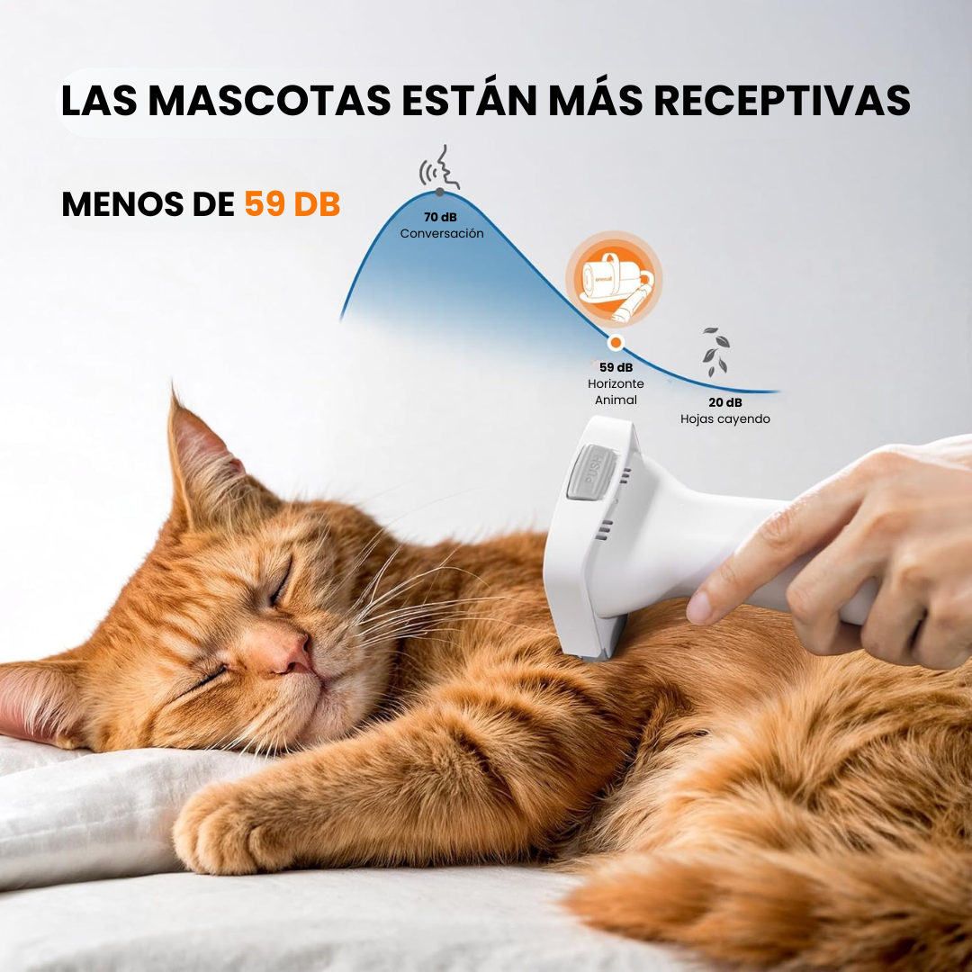 Cepillo y secador para perros y gatos