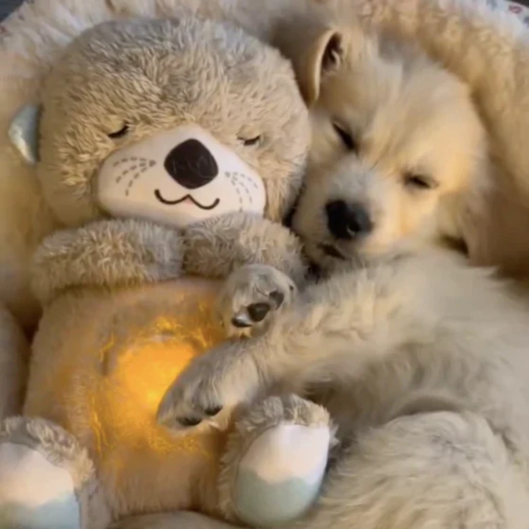 Peluche Antiestrés y Relajante para Perros