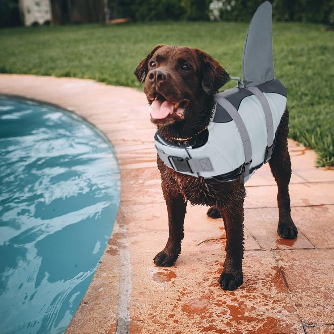 Chaleco Salvavidas Tiburón Perro