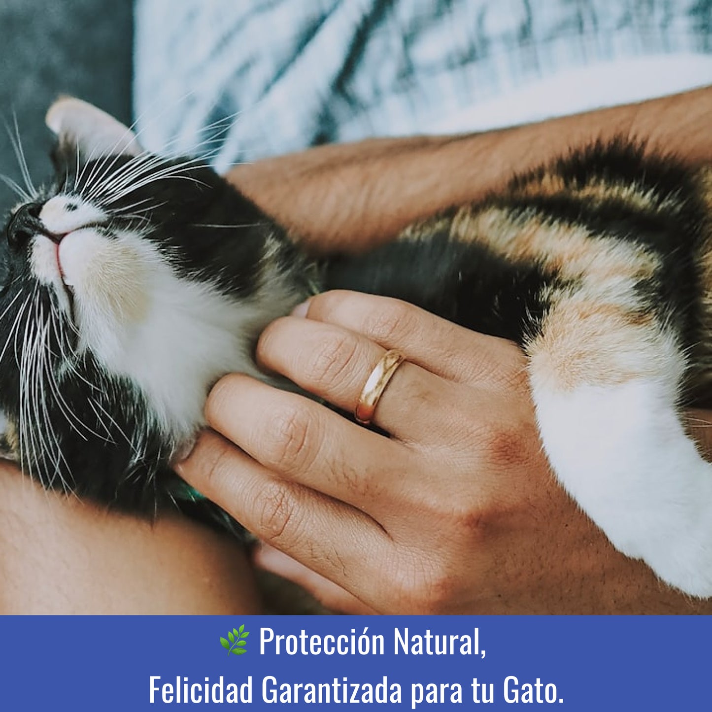 Collar Antiparasitario para Gatos