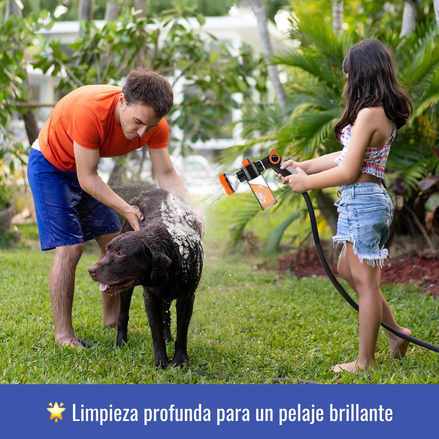 Cabezal Lavado Mascotas