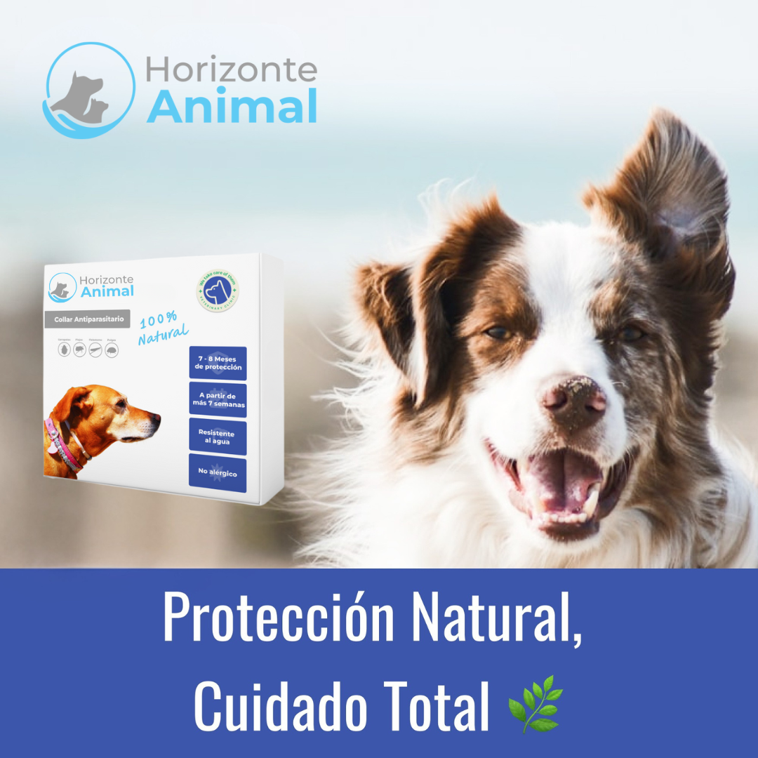 Collar Antiparasitario 100% Natural