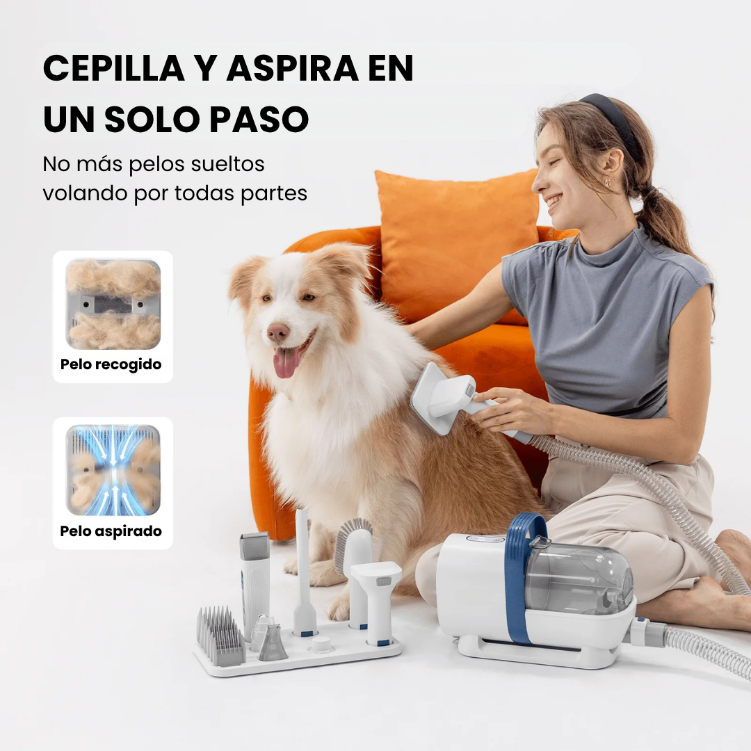 Cepillo y secador para perros y gatos