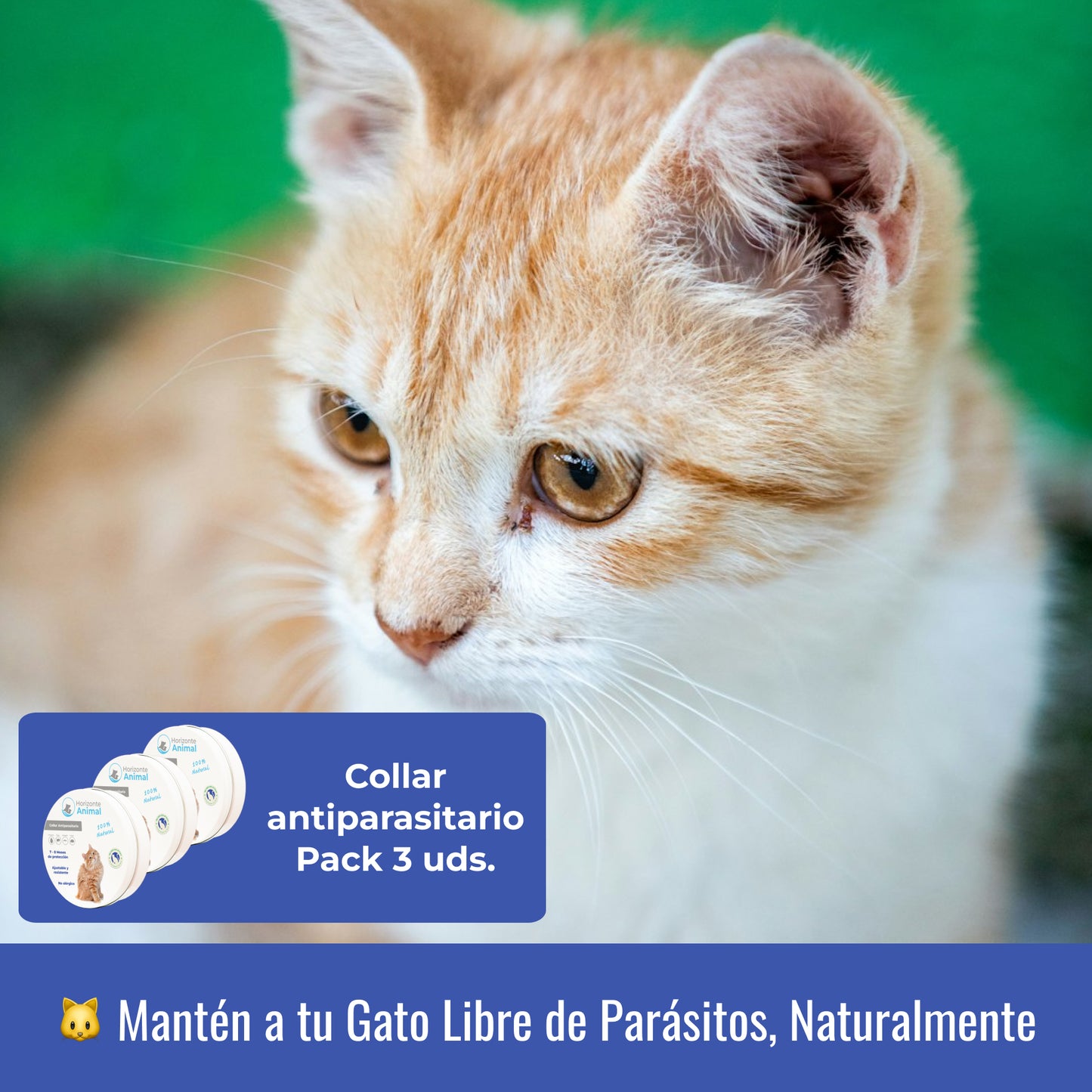Collar Antiparasitario para Gatos