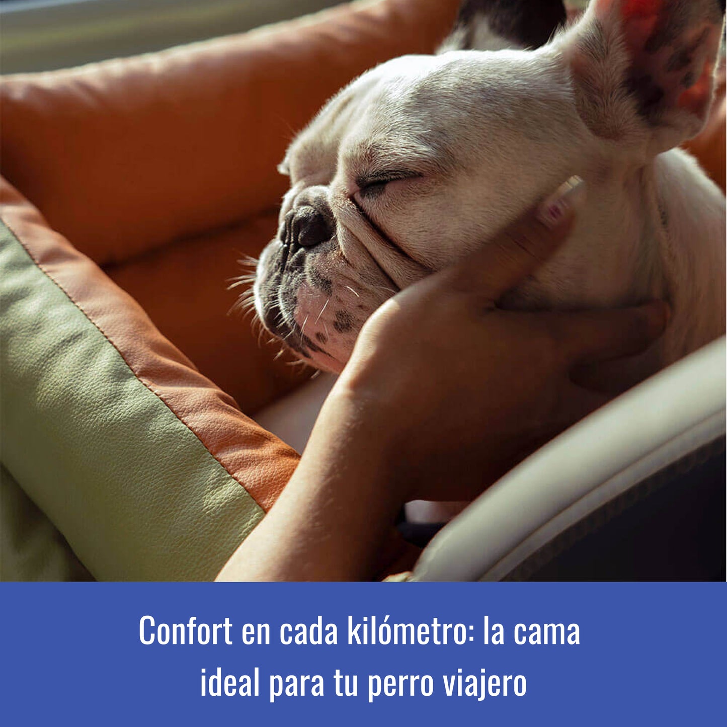 Cama Portable