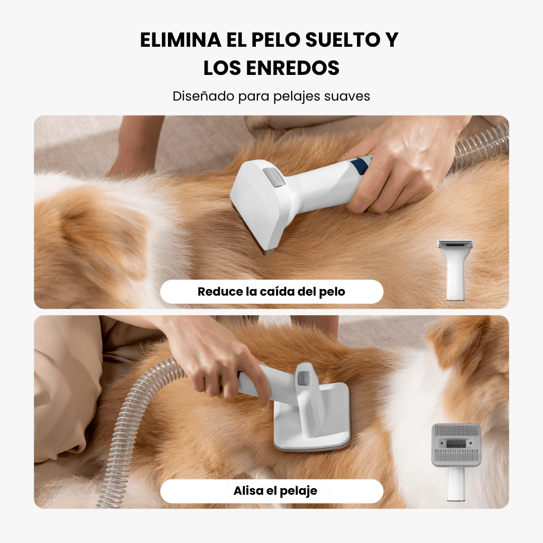 Cepillo y secador para perros y gatos