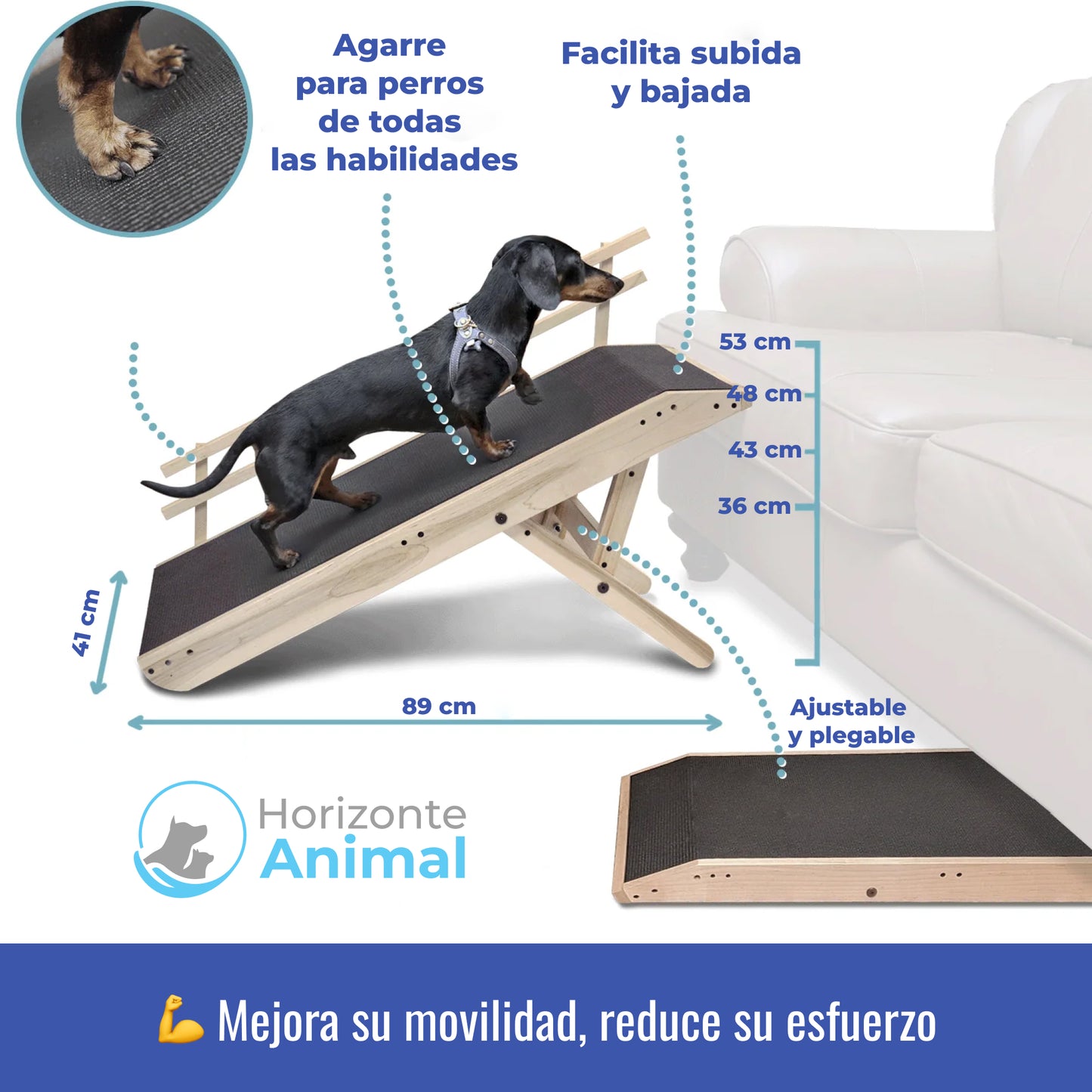 Rampa para Perros