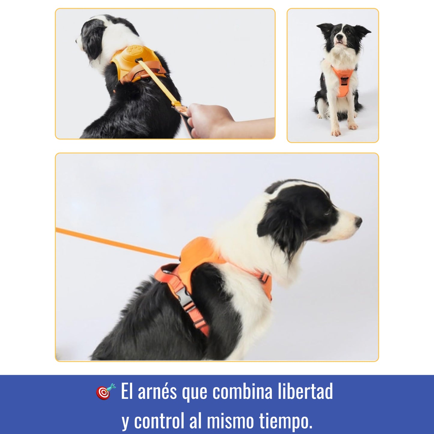 Arnés con correa extensible