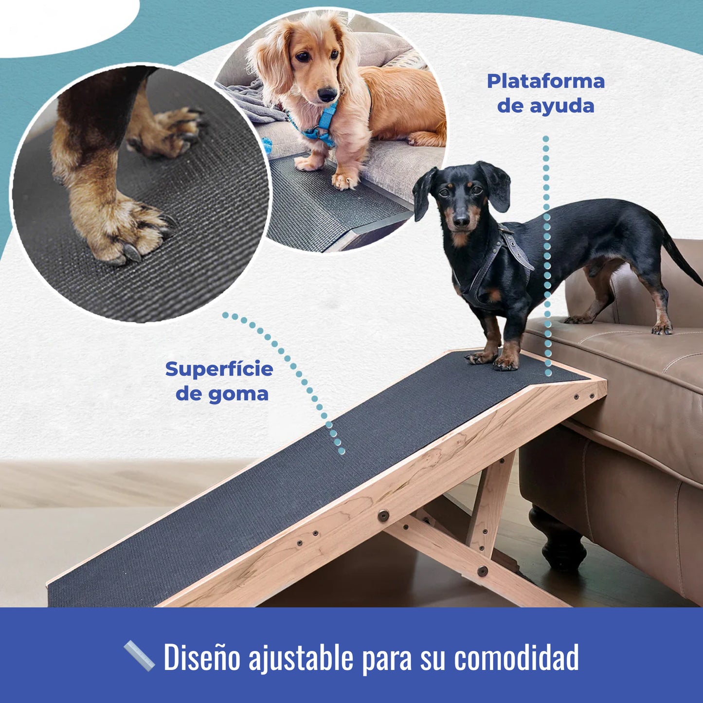 Rampa para Perros