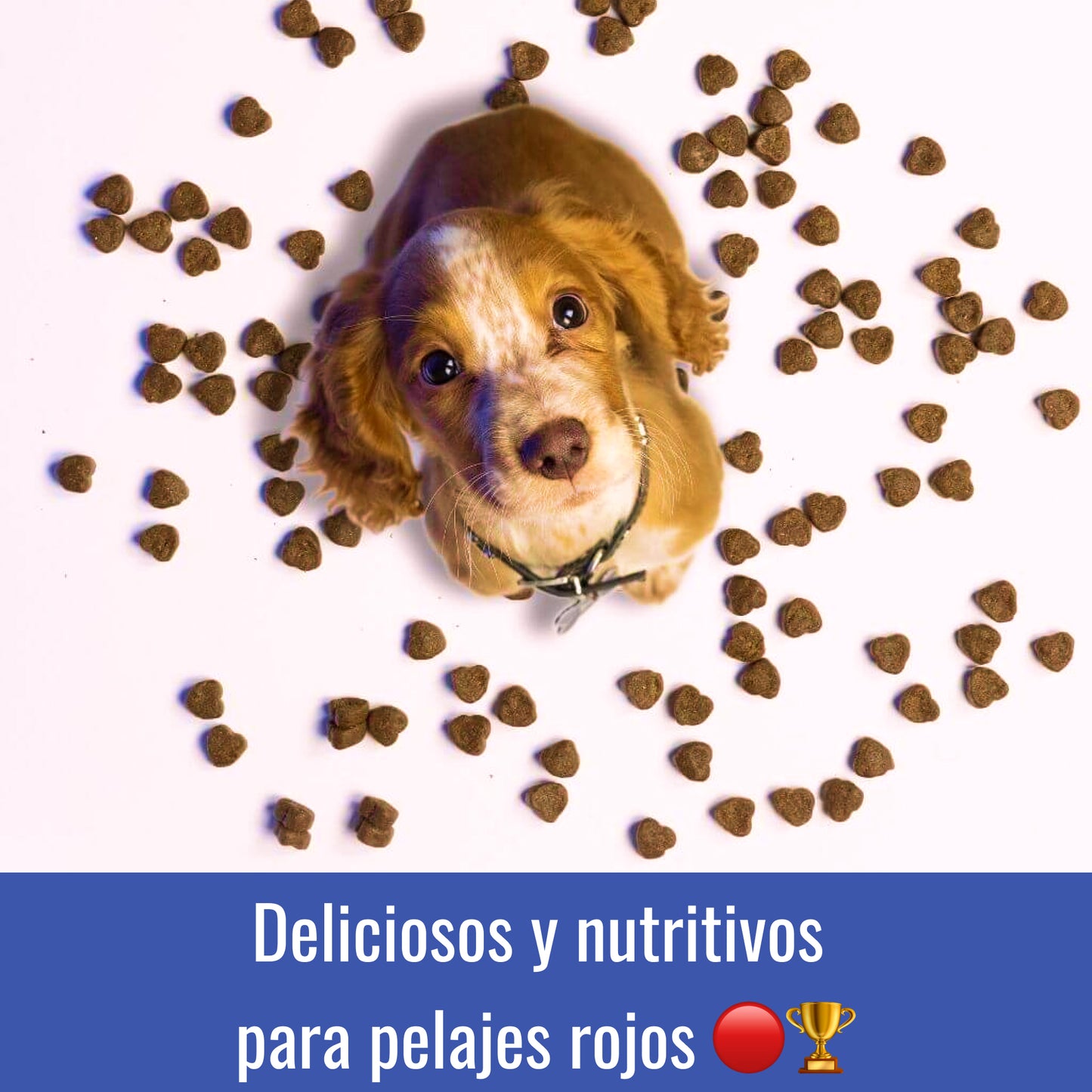Snacks Para Pelajes 120ud