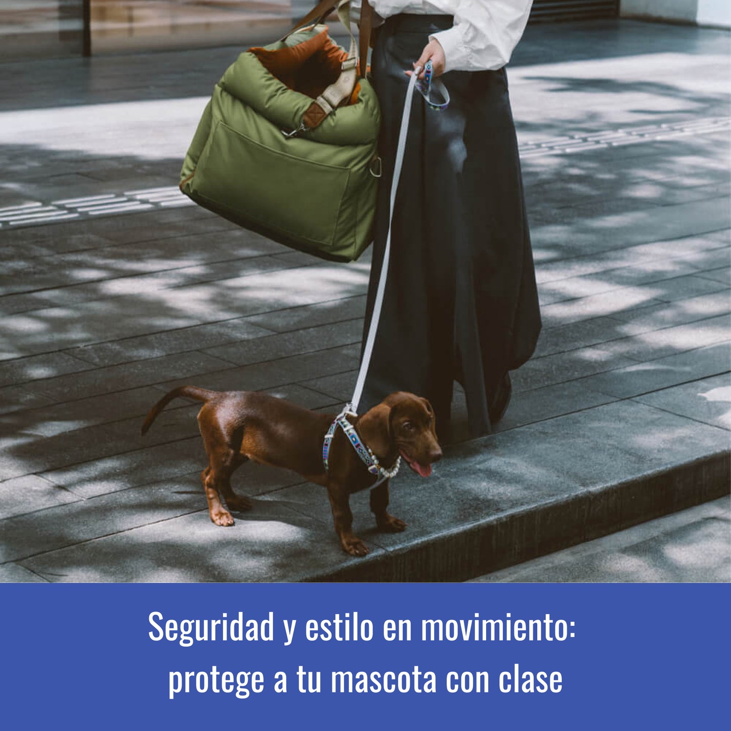 Cama Portable