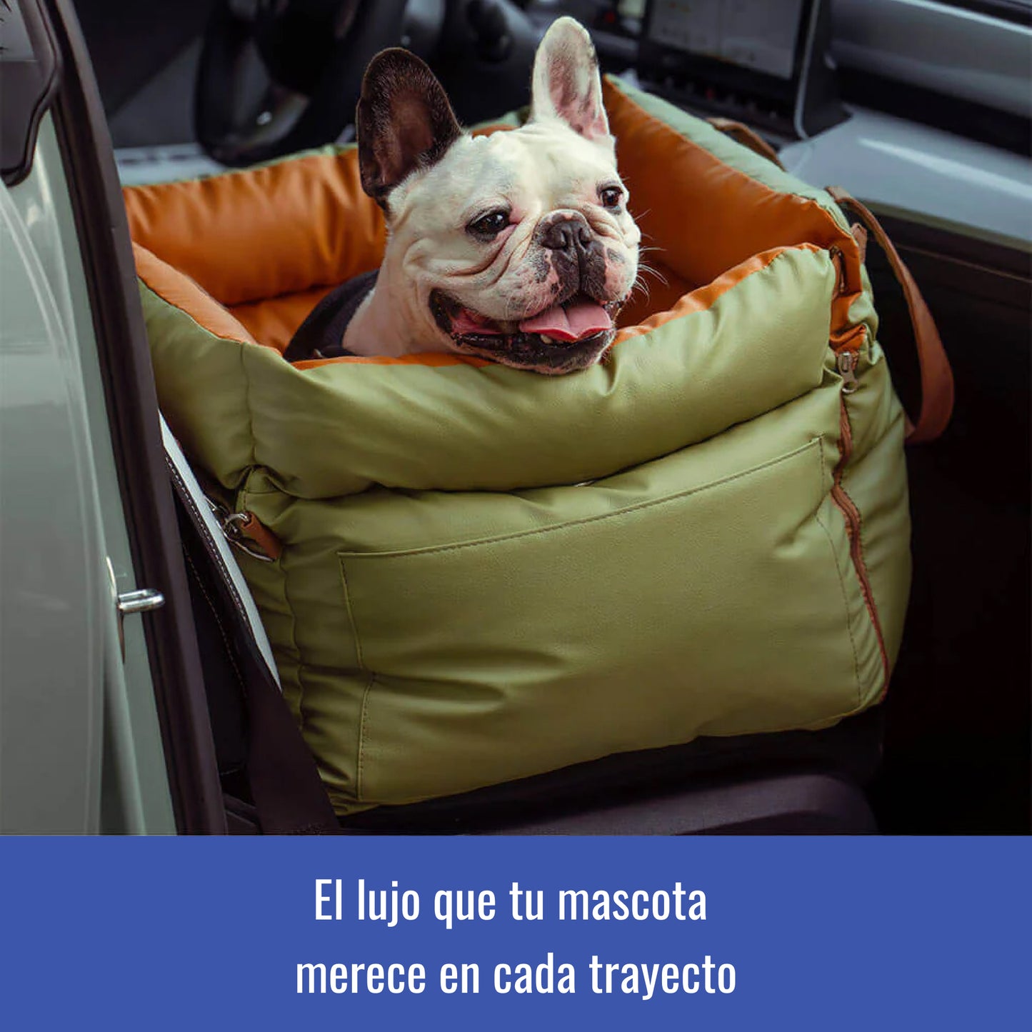 Cama Portable