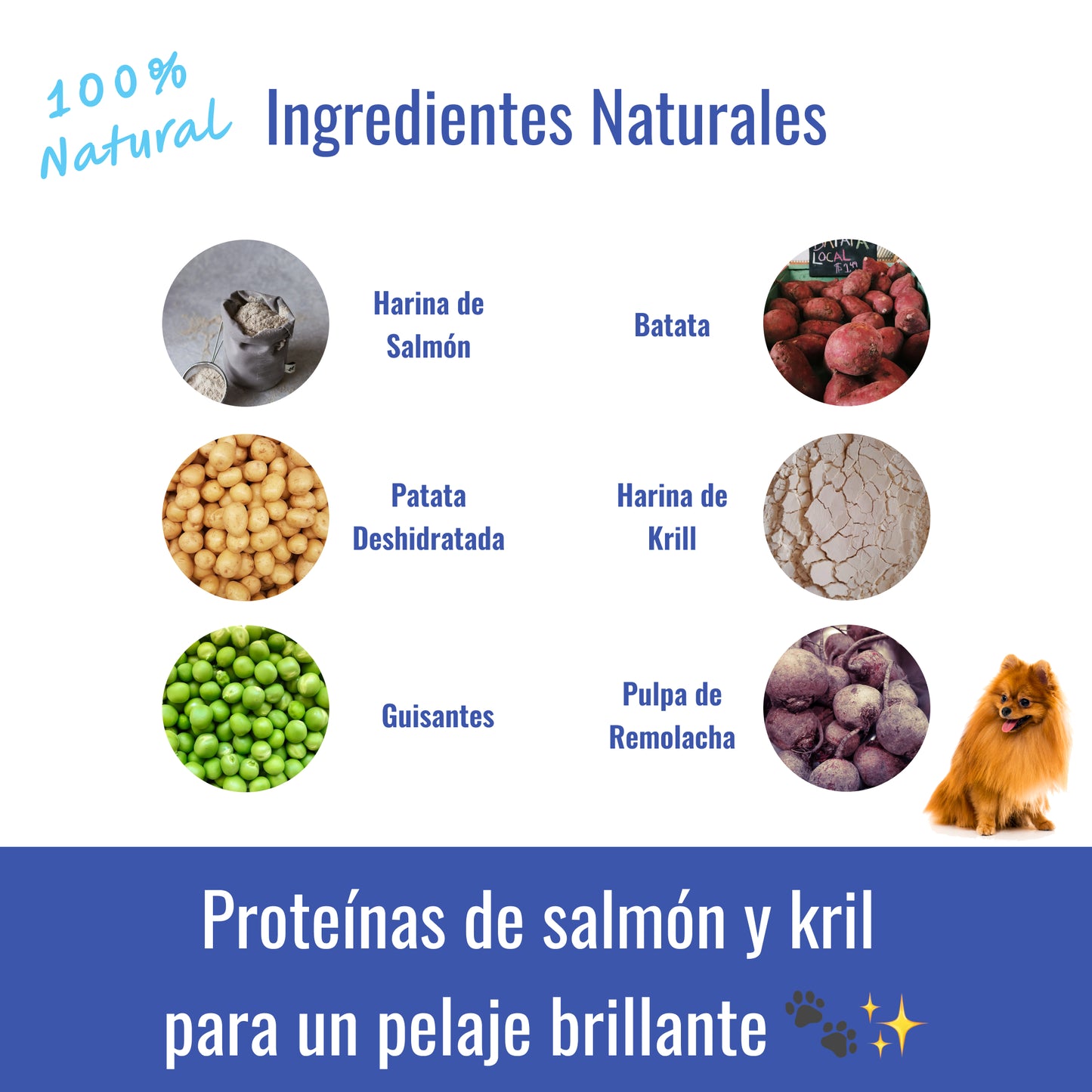 Snacks Para Pelajes 120ud