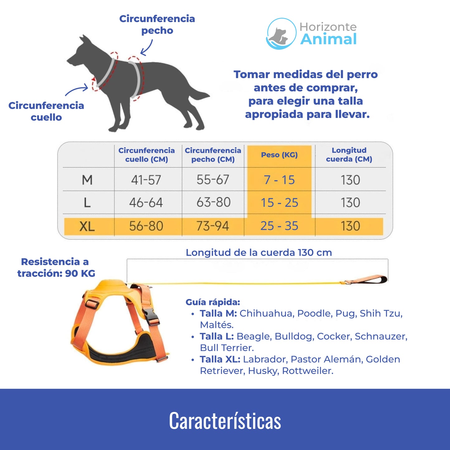 Arnés con correa extensible