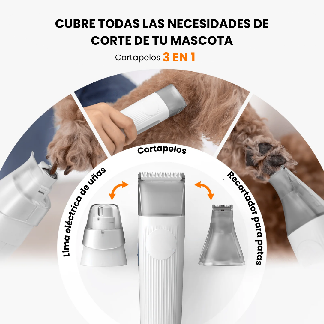 Cepillo y secador para perros y gatos