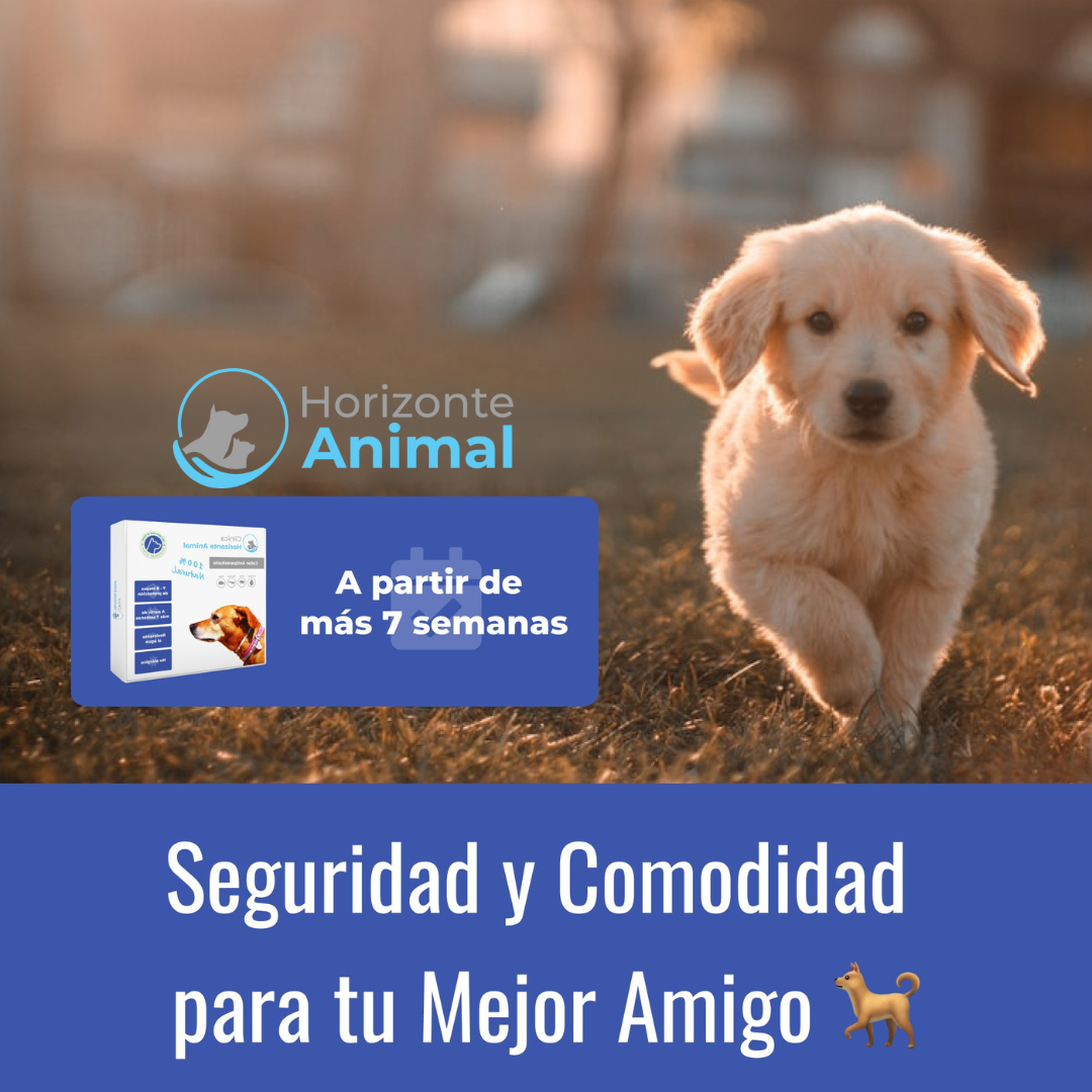 Collar Antiparasitario 100% Natural