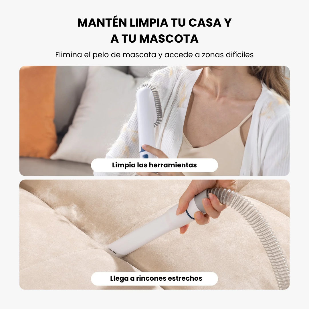 Cepillo y secador para perros y gatos
