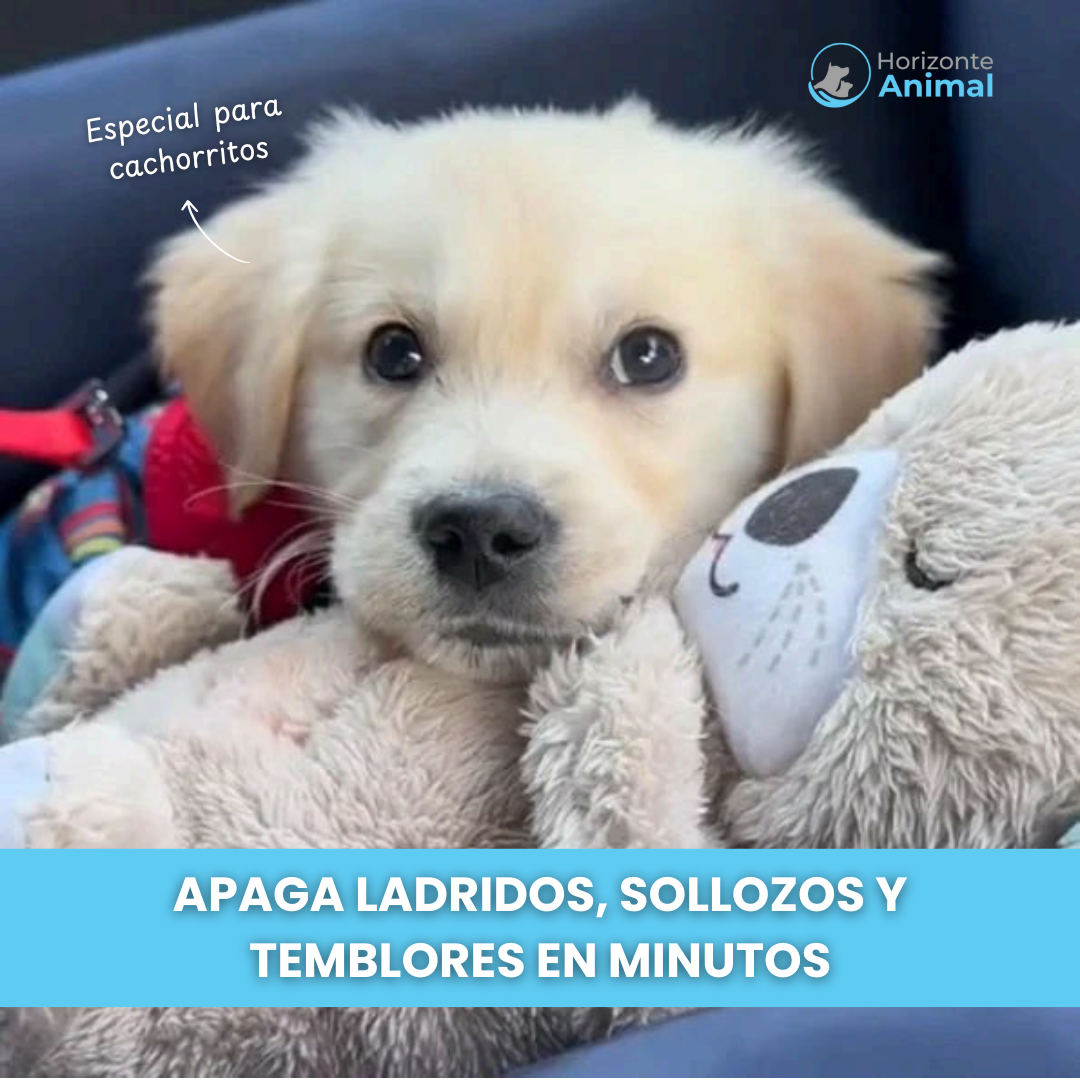 Peluche Antiestrés y Relajante para Perros