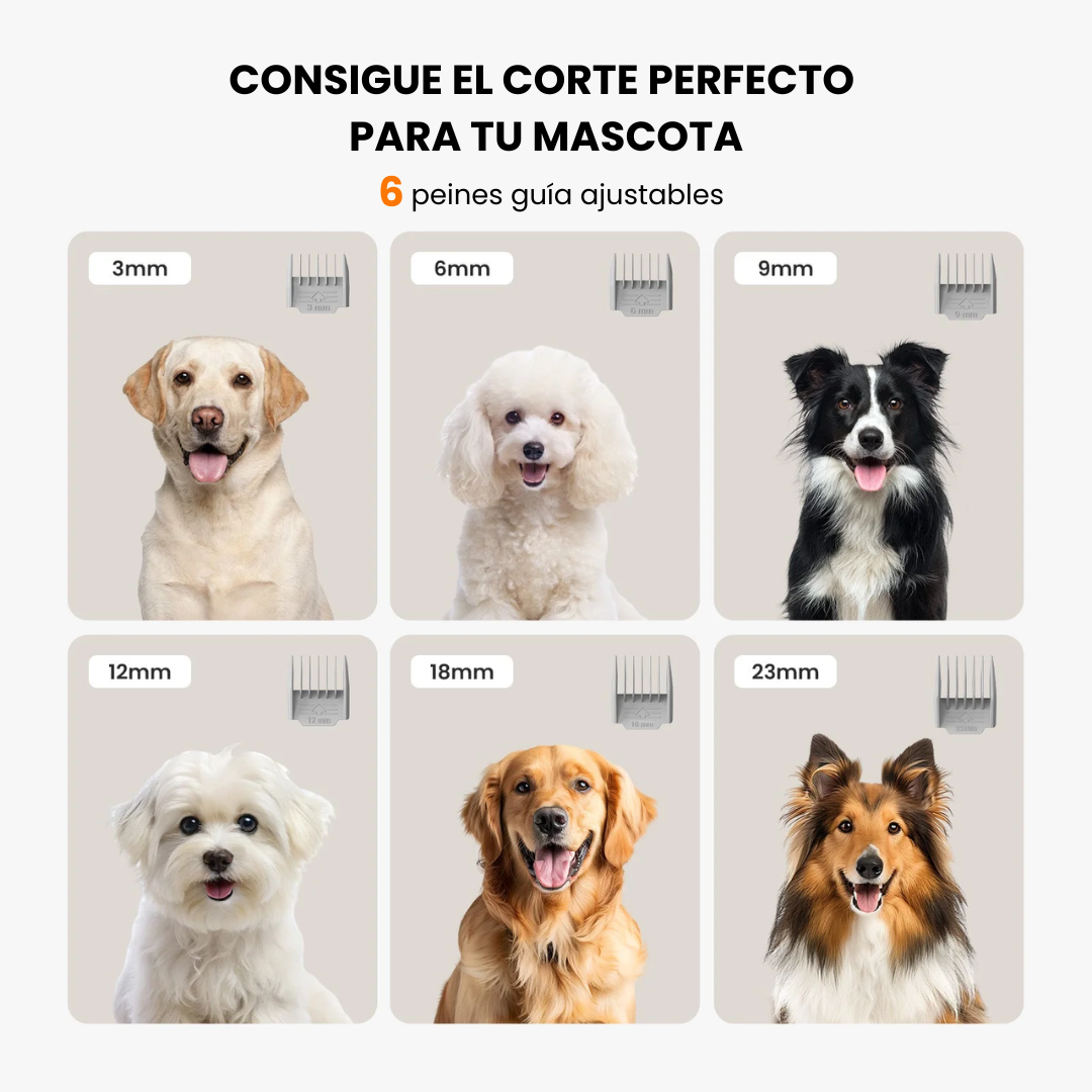 Cepillo y secador para perros y gatos