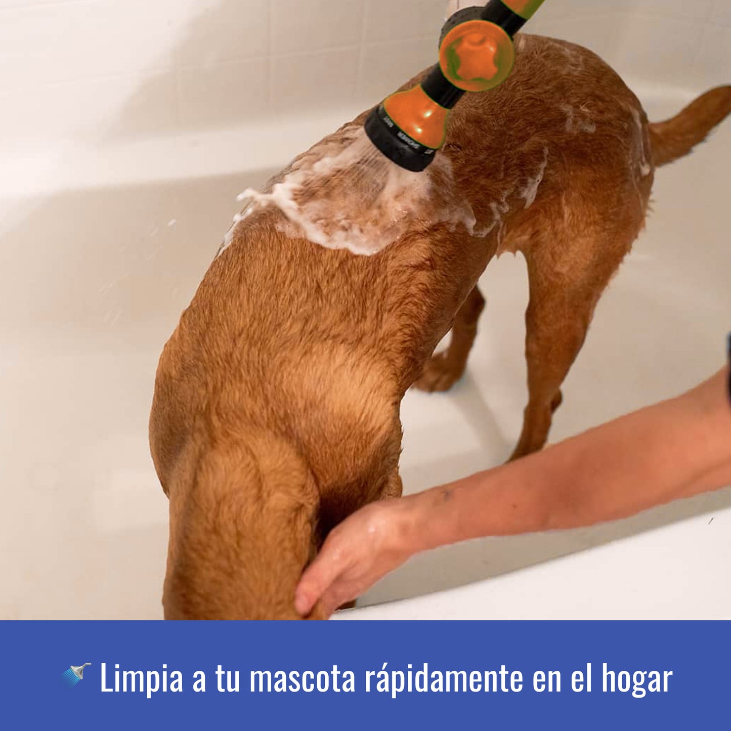 Cabezal Lavado Mascotas