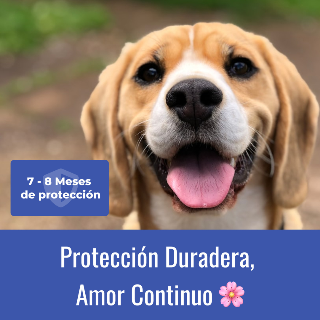 Collar Antiparasitario 100% Natural