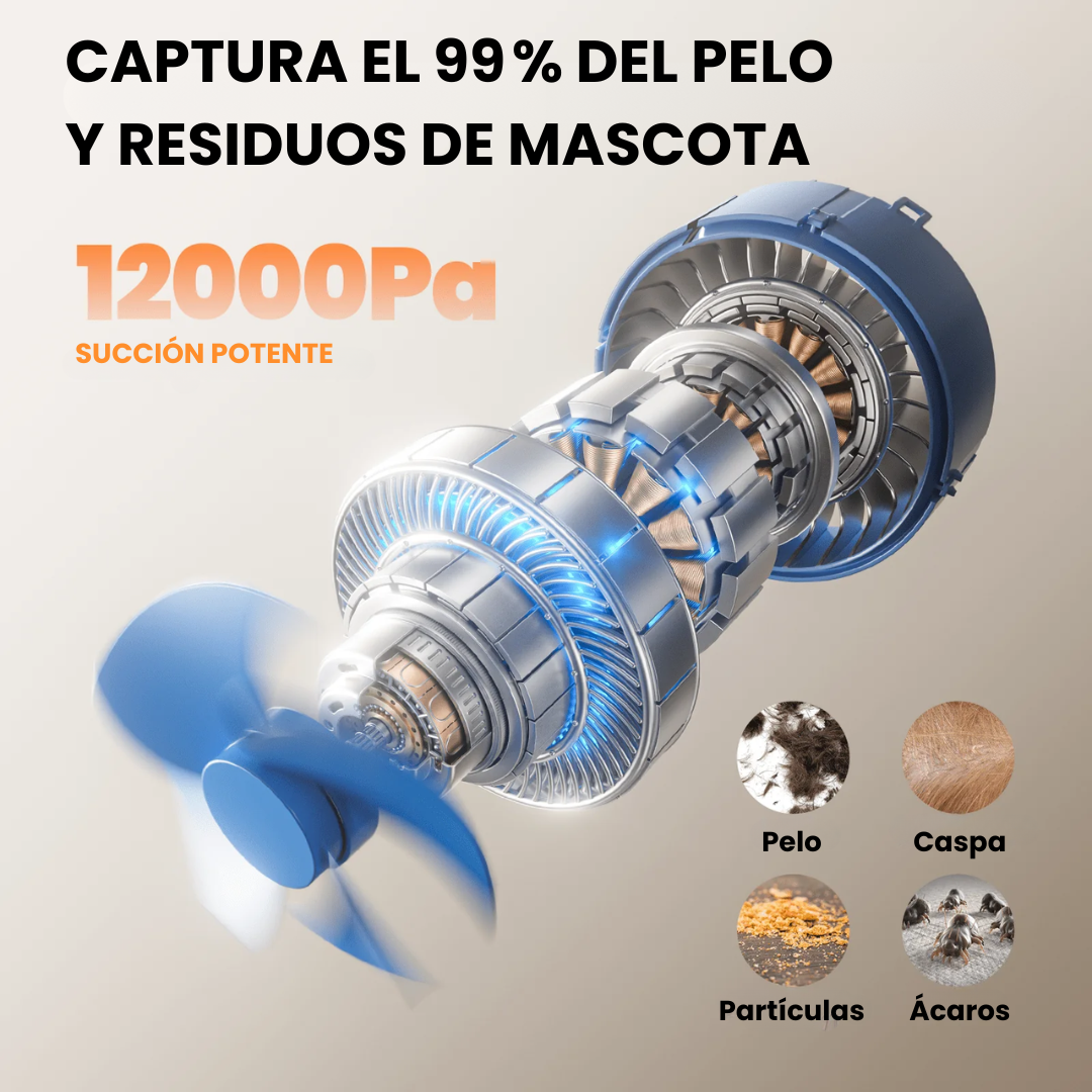 Cepillo y secador para perros y gatos