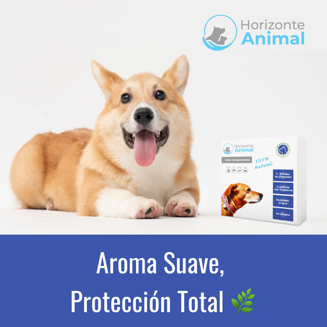 Collar Antiparasitario 100% Natural