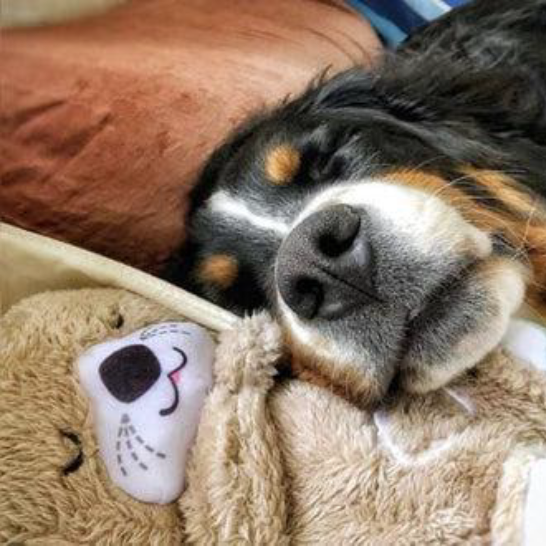 Peluche Antiestrés y Relajante para Perros