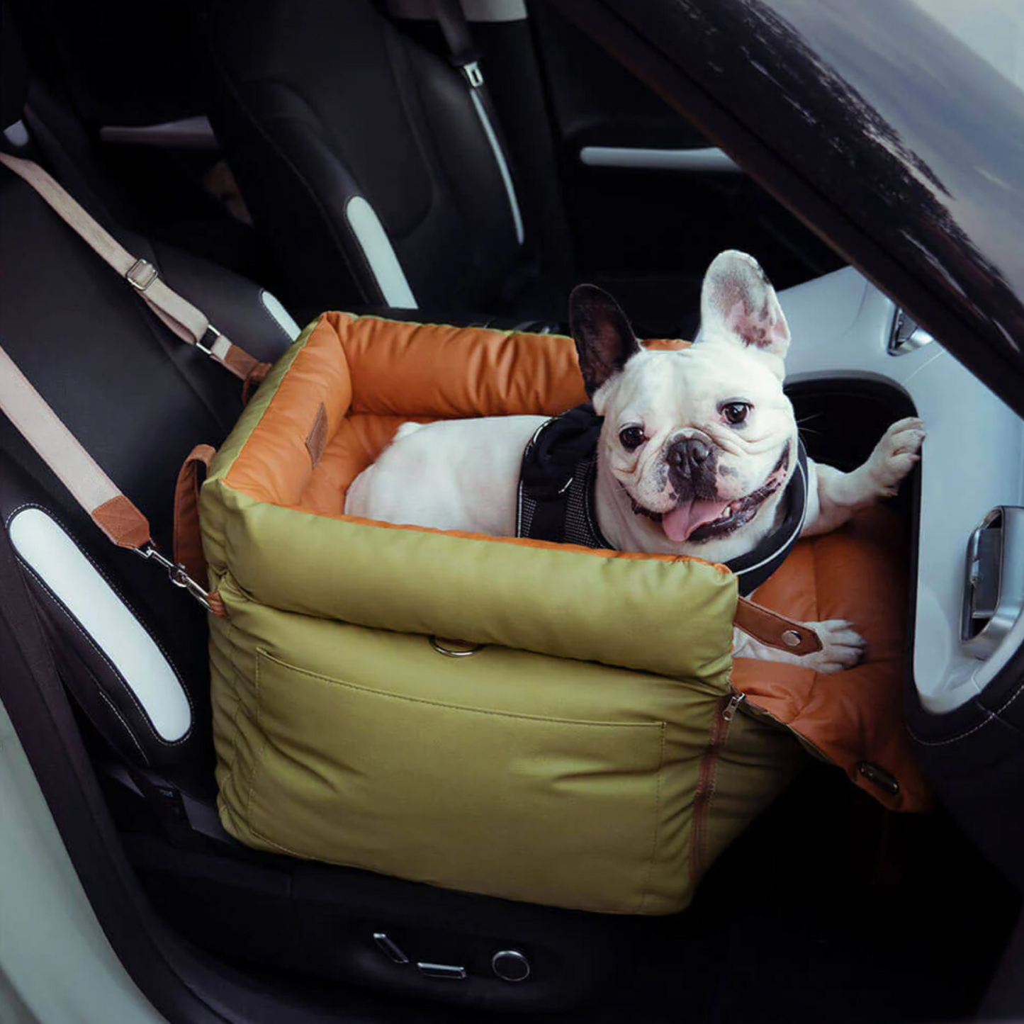 Cama Portable