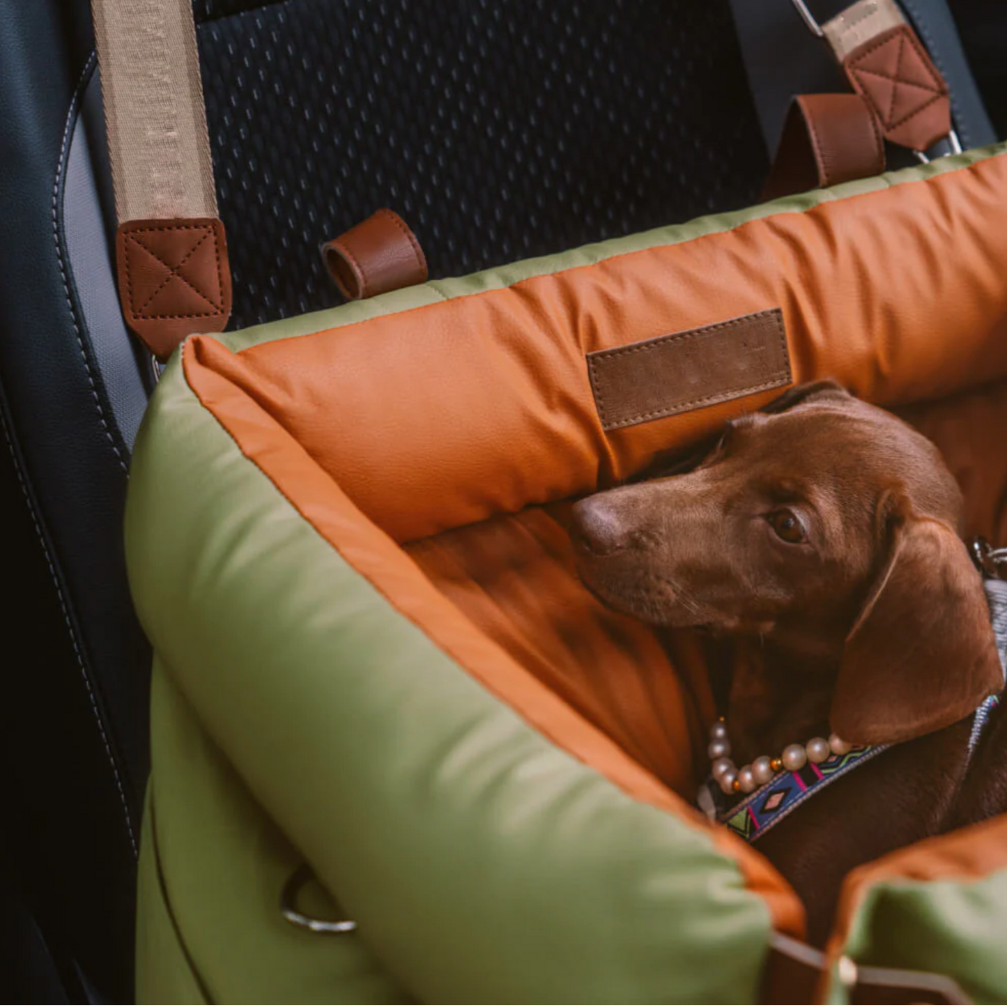 Cama Portable
