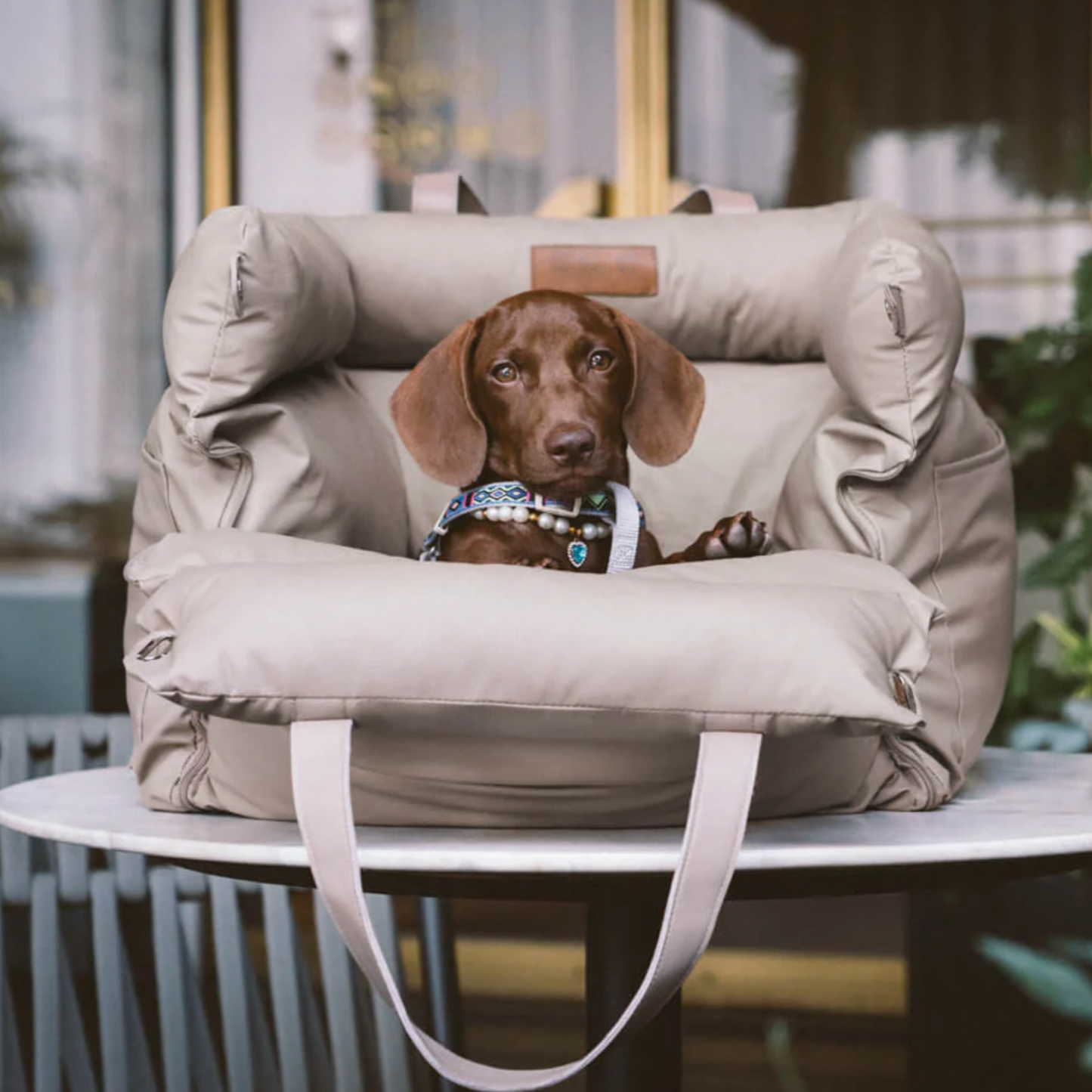 Cama Portable