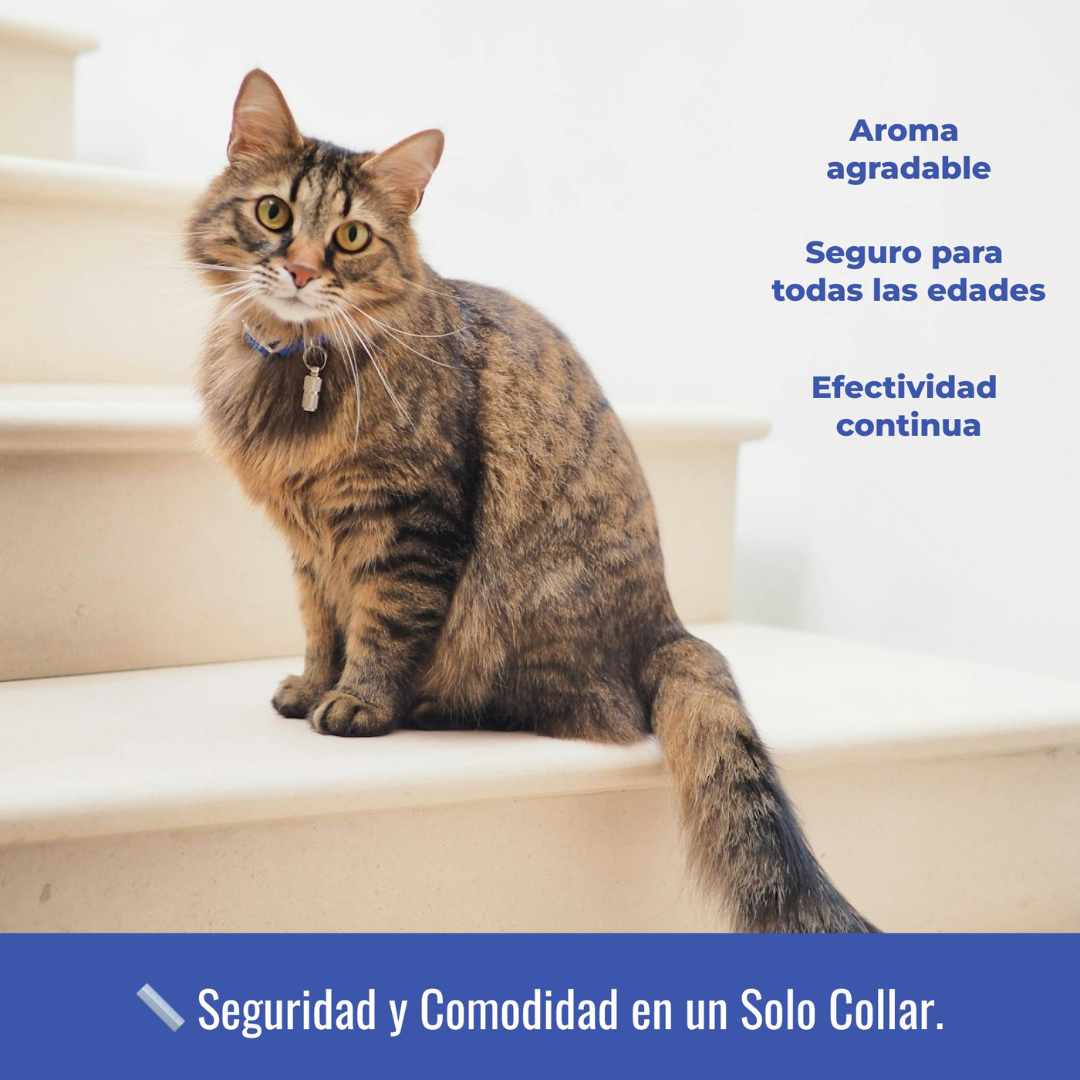 Collar Antiparasitario para Gatos