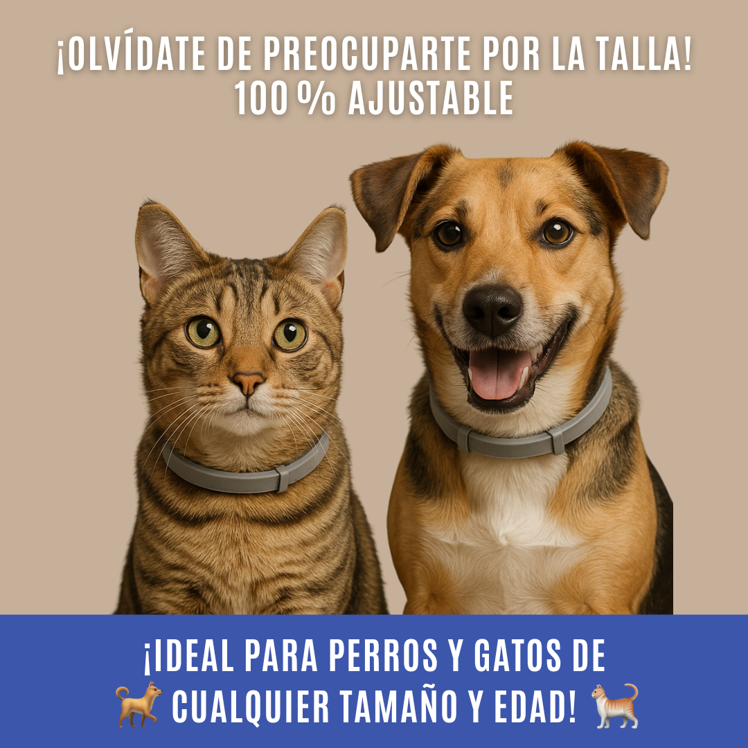 Collar Antiparasitario 100% Natural
