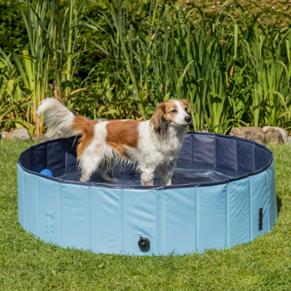 Piscina Plegable para Mascotas