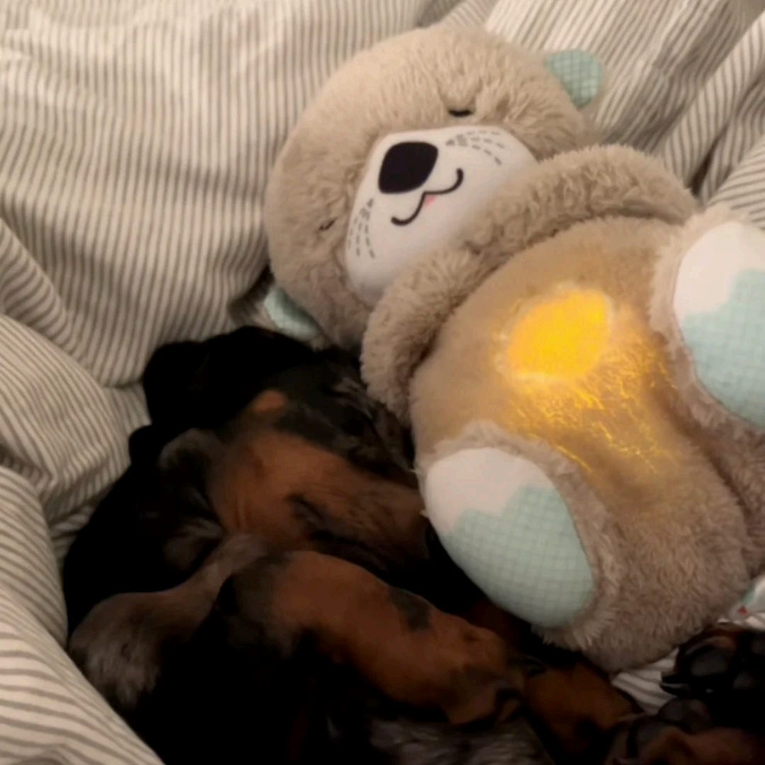 Peluche Antiestrés y Relajante para Perros
