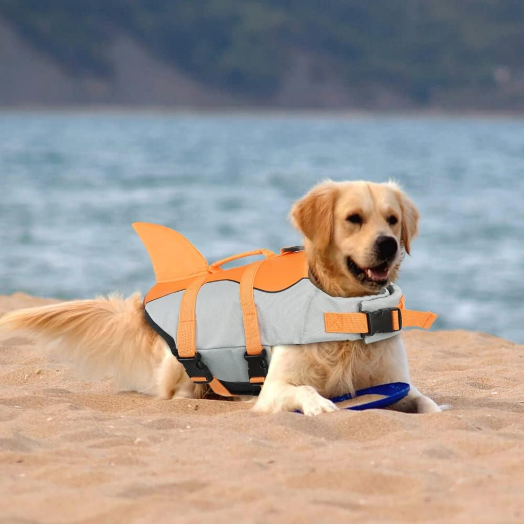 Chaleco Salvavidas Tiburón Perro