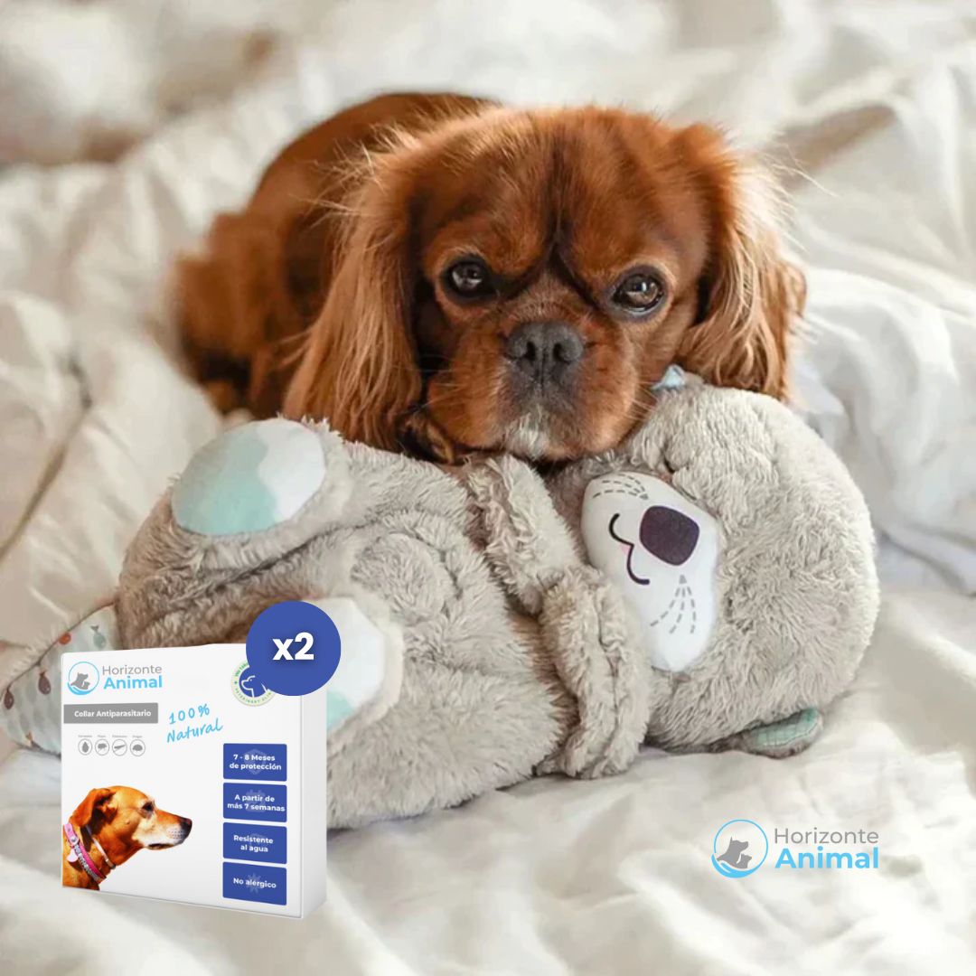 Peluche Antiestrés y Relajante para Perros