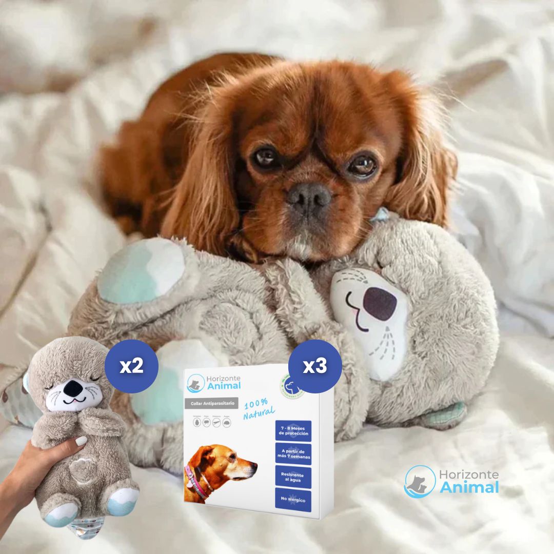 Peluche Antiestrés y Relajante para Perros
