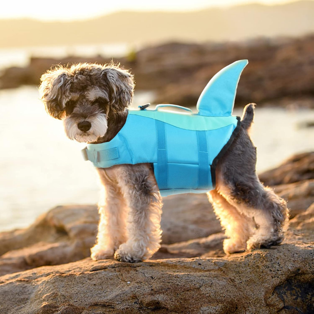 Chaleco Salvavidas Tiburón Perro