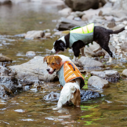 Chaleco Salvavidas para Perro
