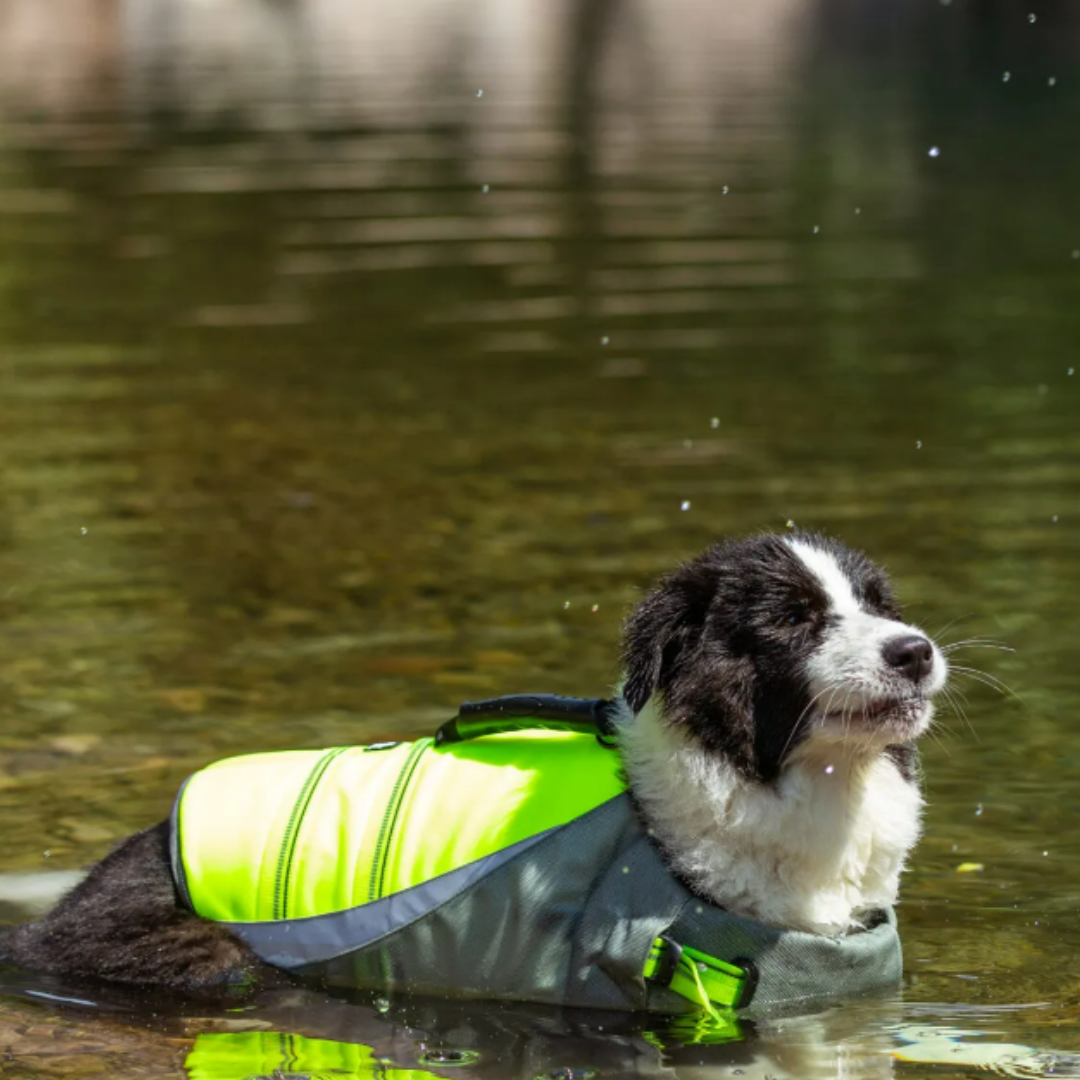 Chaleco Salvavidas para Perro