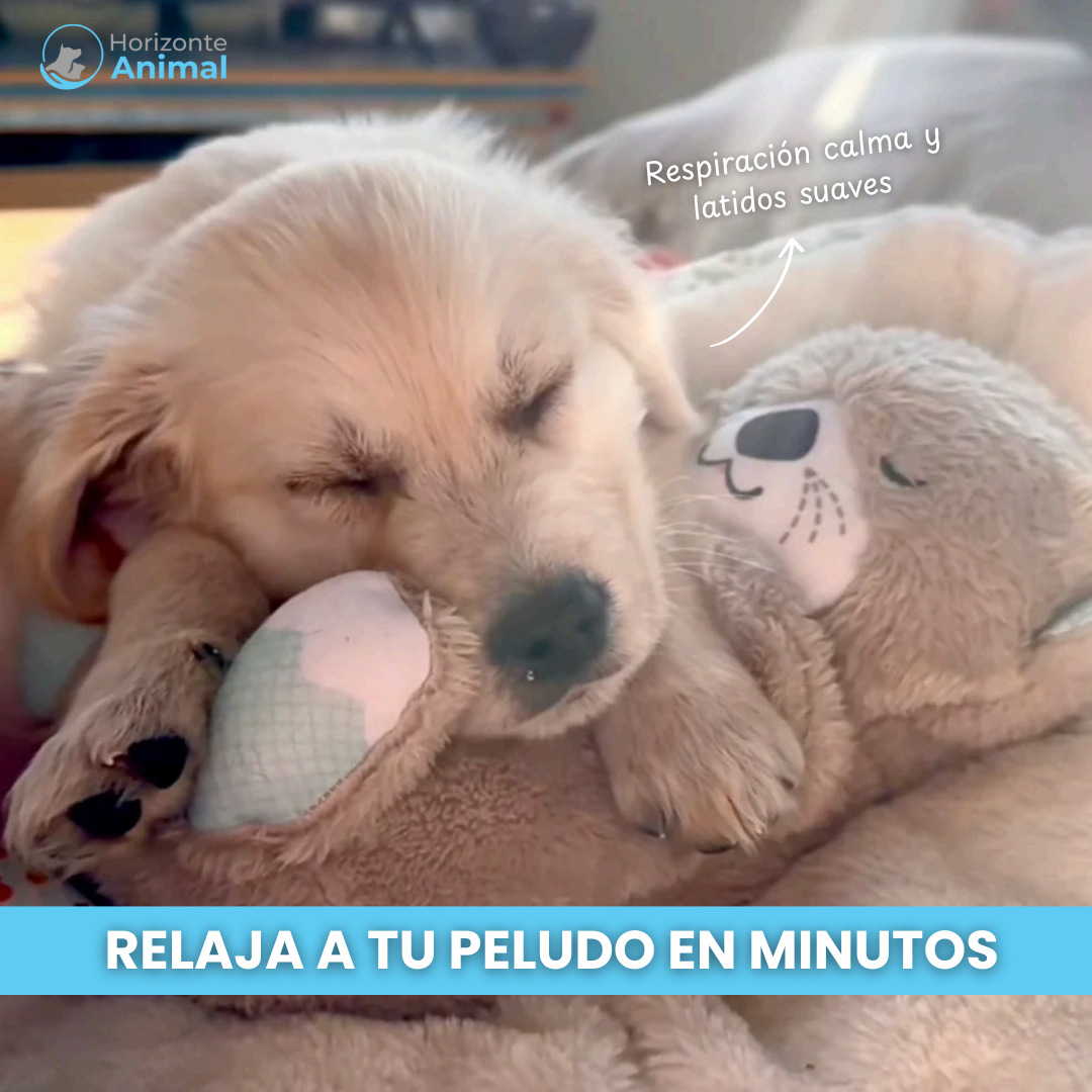 Peluche Antiestrés y Relajante para Perros