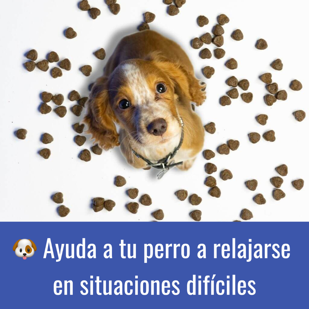 Snack Calmante