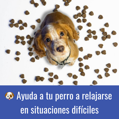Snack Calmante