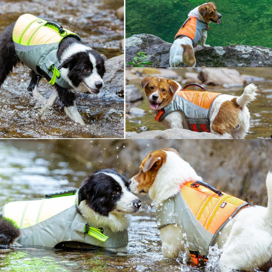 Chaleco Salvavidas para Perro