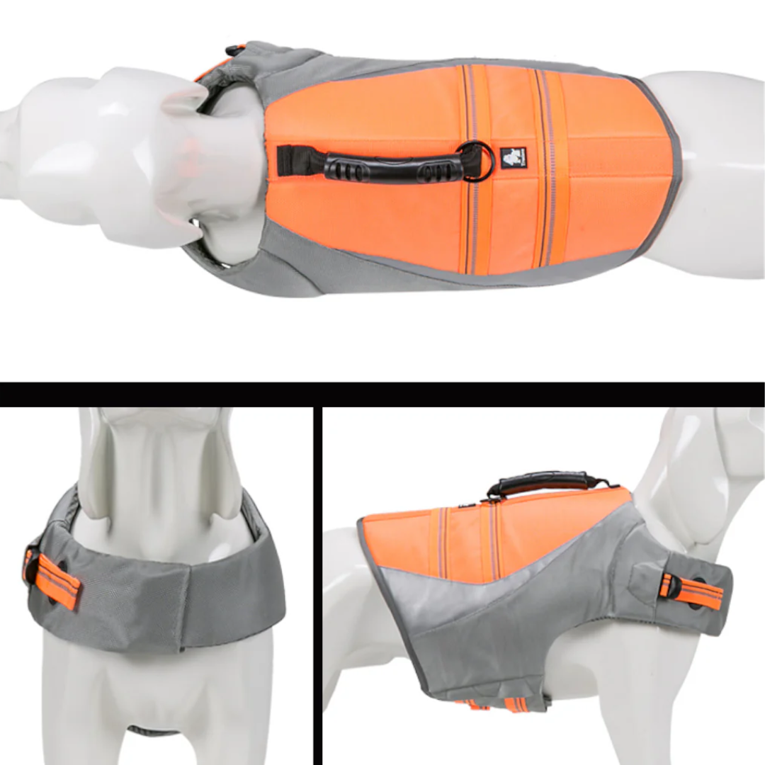Chaleco Salvavidas para Perro