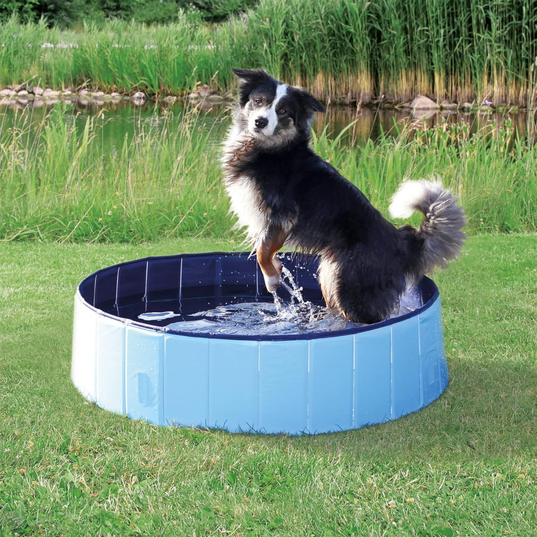 Piscina Plegable para Mascotas